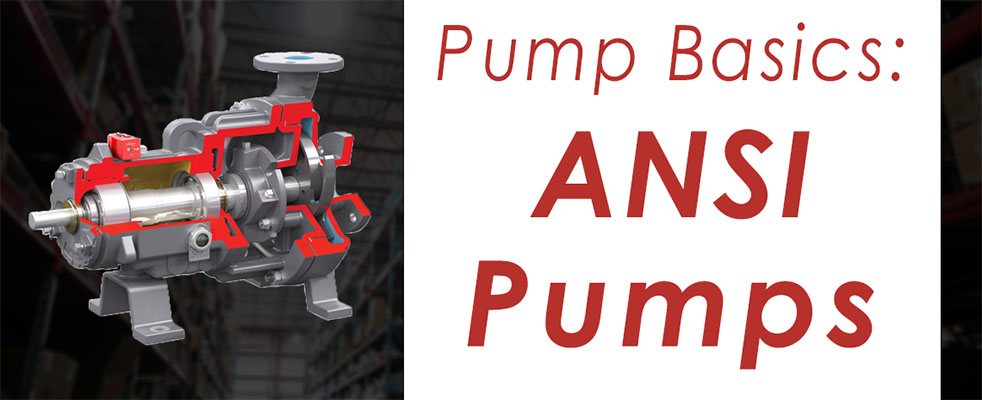 The Basics- What You Need to Know About ANSI Pumps